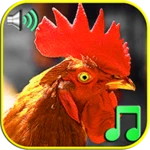 funny alarm clock ringtones android application logo